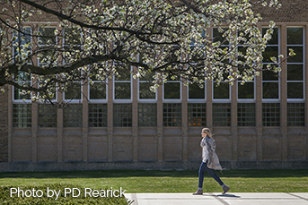 Cranbrook Art Academy Library Exterior. Photo credit PD Rearick. Link to What to Give