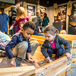 Cranbrook Institute of Science Exhibit. Link to Gifts That Pay You Income