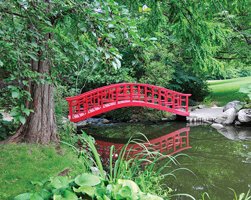 Win-Win Plan Balances Charitable and Family Financial Goals